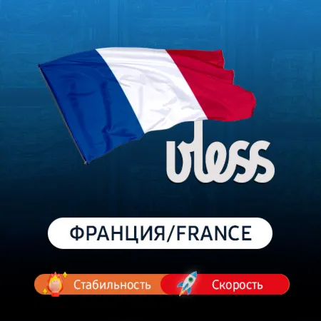 digiseller-1771466089-724